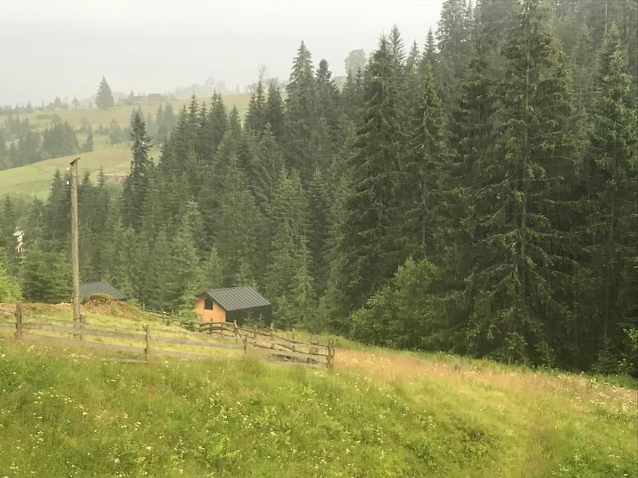 Шале Dereva Jablunicja Kültér fotó